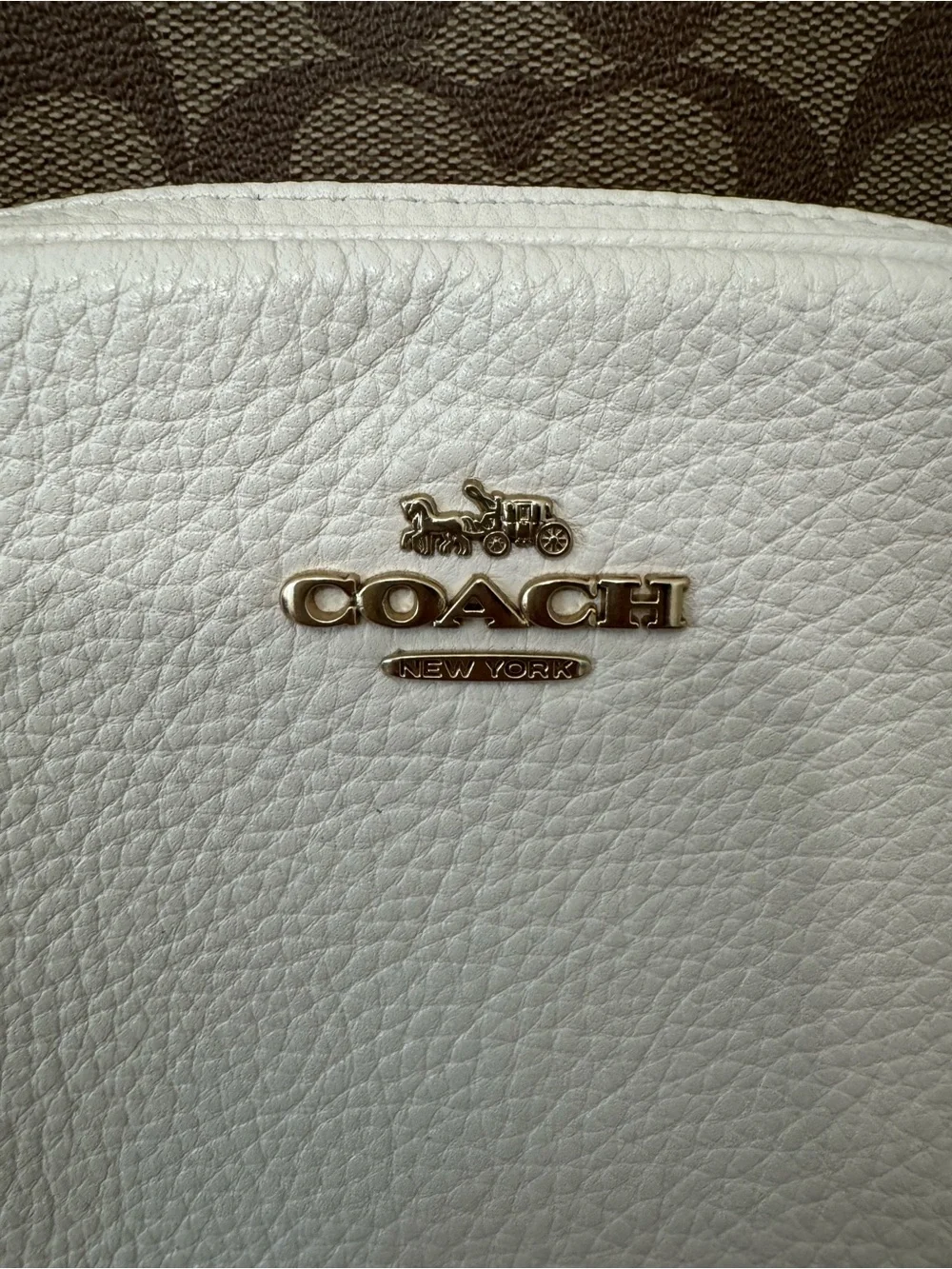 Coach Brown Signature Canvas Backpack with White Leather Pocket
